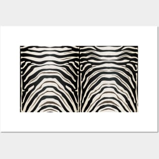 Zebra Print Posters and Art